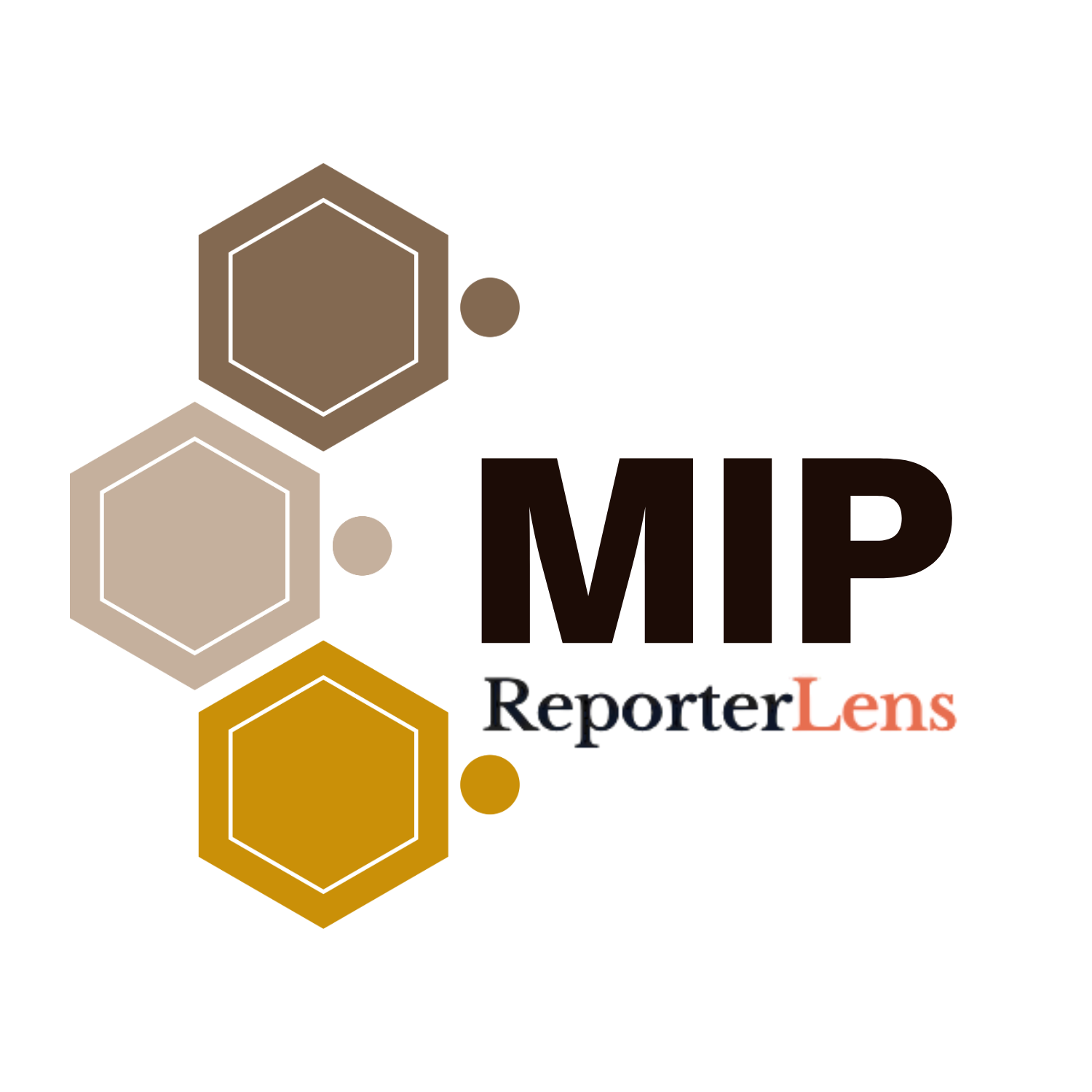 ReporterLens - Analyze any news article beyond the headline